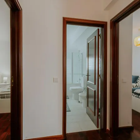 53 - The Daisy Moon House *