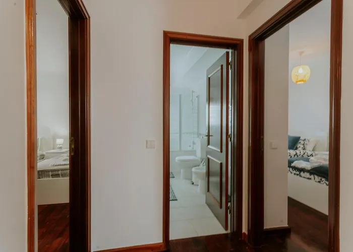 53 - The Daisy Moon House *